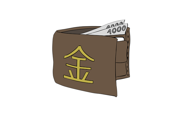 peněženka s penězi